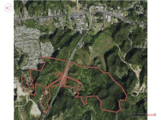 228 Acres for Development in Dorado