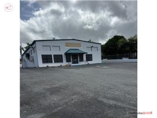 Cayey Bo. Montellano