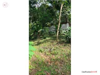 Solar en Hoconuco Alto, San Germ�n PR