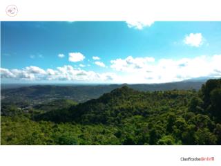 QUEBRADA INFIERNO; 5.85 CUERDAS CARR 181, GURABO