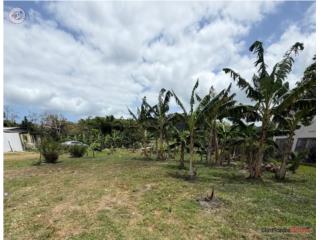 Bo. Limones, Yabucoa