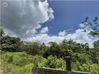 Finca,  7 cuerdas, La Vega
