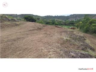 Financiada por due�o 1 cuerda 