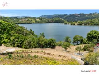 Terreno en Bo. Ortiz de 15.63 cuerdas $695K