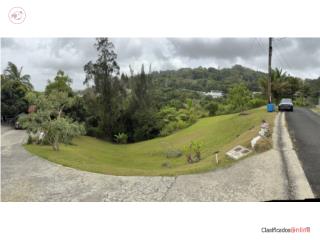 Guavate finca 2.5 cuerdas con manantial