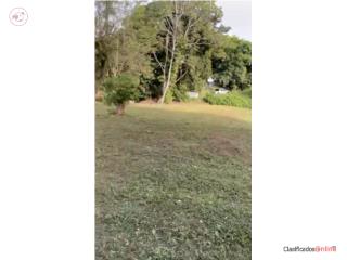  SE VENDE 4.4 CUERDAS EN BO.PITAHAYA LUQUILLO
