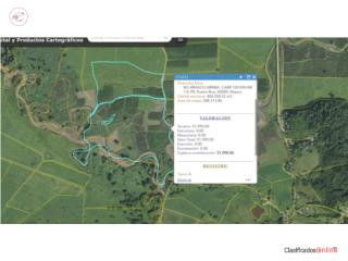 FINCA PRODUCIENDO, FACIL ACCESO HACIA LA #2