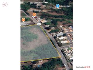 Finca 28 cuerdas carr. 545, Coamo