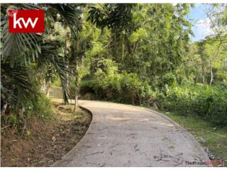 BO. SANTA ROSA, TERRENO EN GUAYNABO