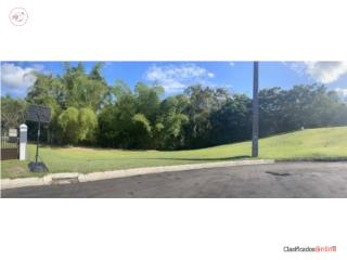 Terreno en Venta en San Lorenzo!!! Rebajado