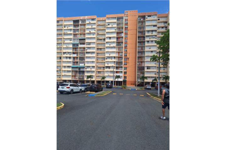 TORRES DE CERVANTES / NUEVO EN EL MERCADO
