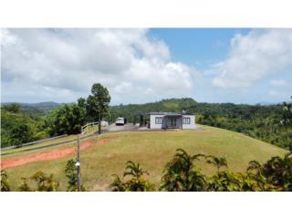 Puerto Rico - Bienes Raices VentaPROPIEDAD CON 7 CUERDAS DE TERRENO - VISTA 36 Puerto Rico