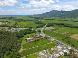 Terreno Espectacular Bo. Calabazas, Yabucoa PR