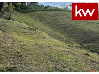 BO. BARRAZAS, TERRENO EN CAROLINA