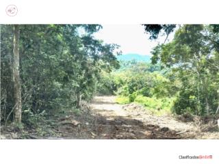 Cayey Potencial para Desarrollo 39.83 cdas. 