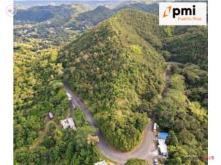FINCA EN AIBONITO, 37.5 Cuerdas, 149k