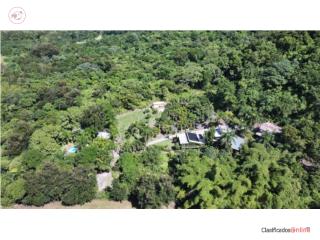 Puerto Rico - Bienes Raices VentaIncome Generating Property with 16 acres  Puerto Rico