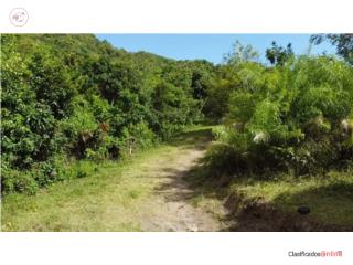 Bo. Guayabal Sector Lajita Juana D�az 