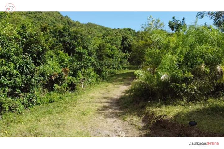 Bo. Guayabal Sector Lajita Juana Díaz