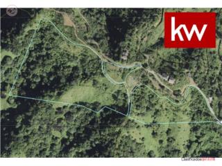 BO. RUBIAS, TERRENO EN YAUCO