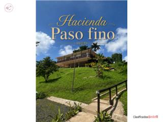 Puerto Rico - Bienes Raices VentaHacienda Paso fino: Carabali, espectacular!! Puerto Rico