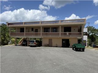 Maravilla Este Puerto Rico