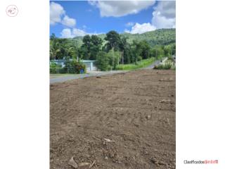 Terreno ideal para la casa de tus sue�os
