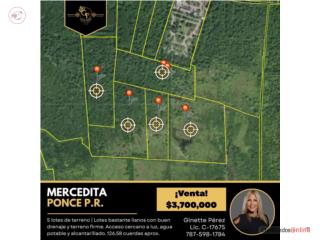 126.58 cuerdas INDUSTRIAL MERCEDITA PONCE 