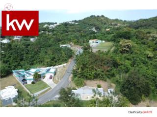 Puerto Rico - Bienes Raices VentaBO. GUANAJIBO, SOLAR EN HORMIGUEROS Puerto Rico