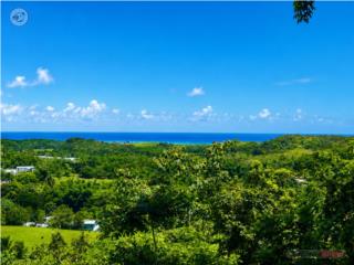 Puerto Rico - Bienes Raices VentaOcean Views Approx 475' of Road Frontage  Puerto Rico