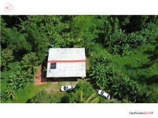 Puerto Rico - Bienes Raices VentaBo Florida! 36 cuerdas de terreno Puerto Rico