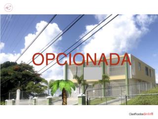 Junco campo y ciudad � la vez 