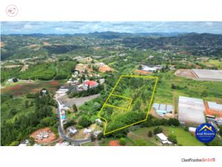 NUEVA FINCA EN QUEBRADILLAS, BARRANQUITAS 