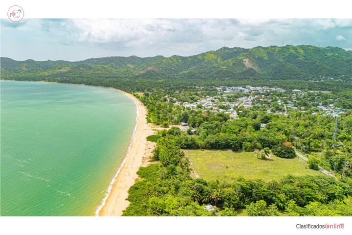 Farm in Playa, Añasco
