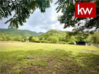 BO. MATON ABAJO, TERRENO EN CAYEY