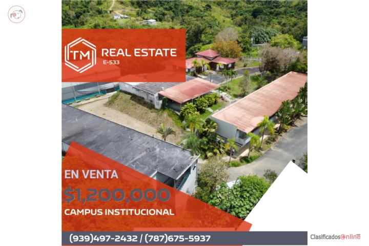 Commercial in Helechal, Barranquitas