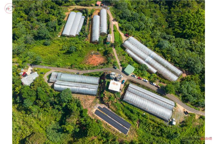 Farm in Perchas, San Sebastián