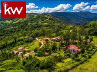 BO. SUMIDO - CAYEY