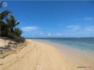 PH Cond.Punta Bandera