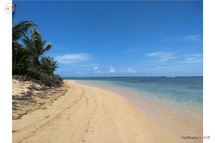 PH Cond.Punta Bandera