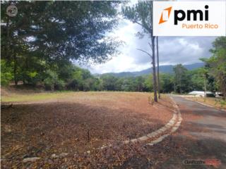 Finca de 25 Cuerdas con Casa – Caguas...