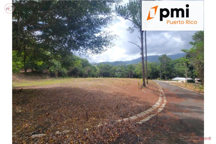 Finca de 25 Cuerdas con Casa  Caguas