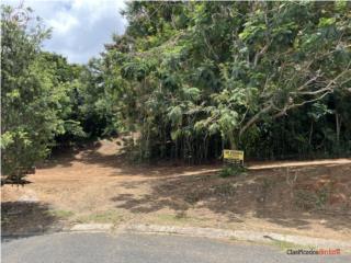 Bo. Leguisamo ,Carr 354 Mayaguez, PR Solar