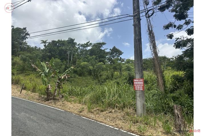 Terreno en Rio Grande 5 cdas