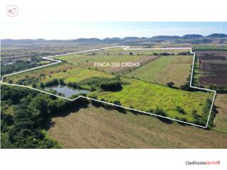 FINCA AGRÍCOLA COMPLETAMENTE LLANA