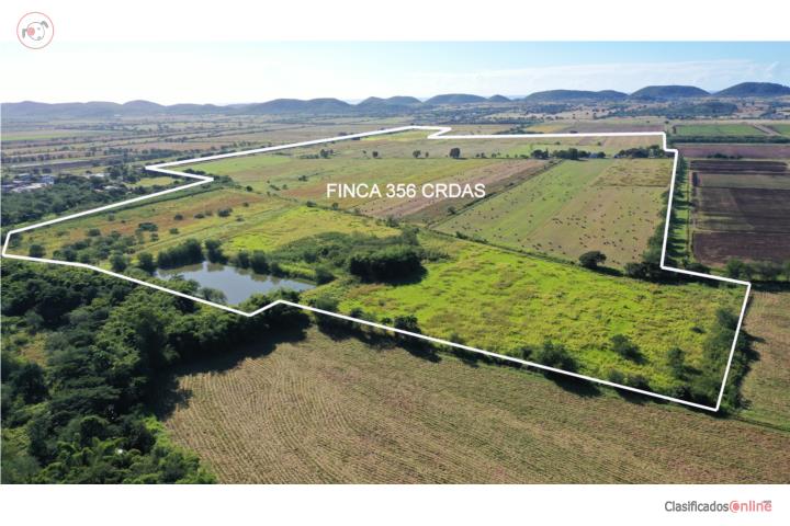 Farm in Yeguas, Lajas