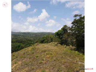 Sector La Vega! Venta de terrenos