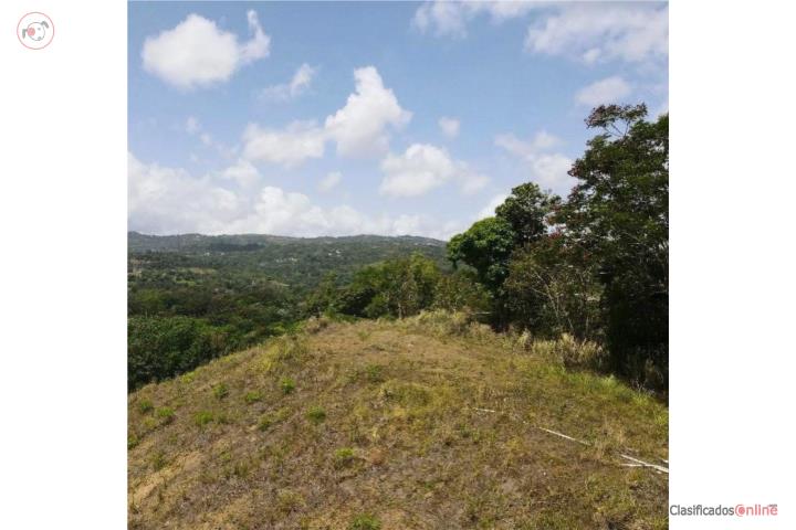 Sector La Vega! Venta de terrenos