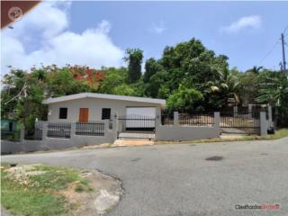 HATO ARRIBA - ARECIBO