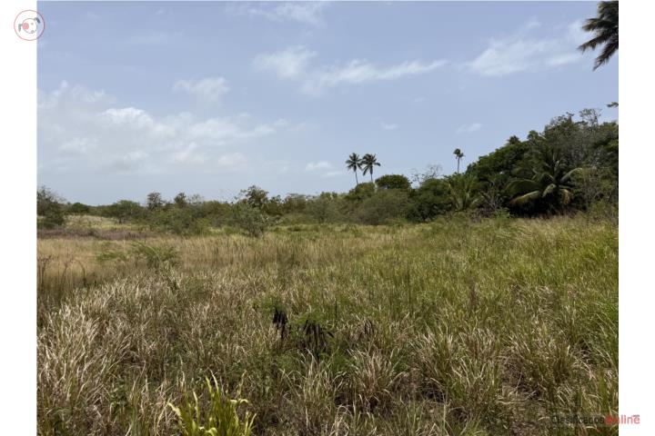 Farm in Jobos, Isabela